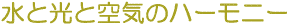 ���ƌ��Ƌ�C�̃n�[���j�[