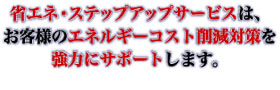 �ȃG�l�E�X�e�b�v�A�b�v�T�[�r�X�́A���q�l�̃G�l���M�[�R�X�g�팸�΍�����͂ɃT�|�[�g���܂��B