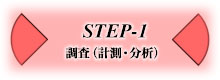 �ȃG�l�E�X�e�b�v�A�b�v-1 �����i�v���E���́j
