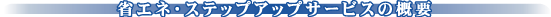 �ȃG�l�E�X�e�b�v�A�b�v�T�[�r�X�̊T�v