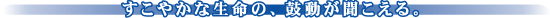 �����₩�Ȑ����́A�ۓ�����������B